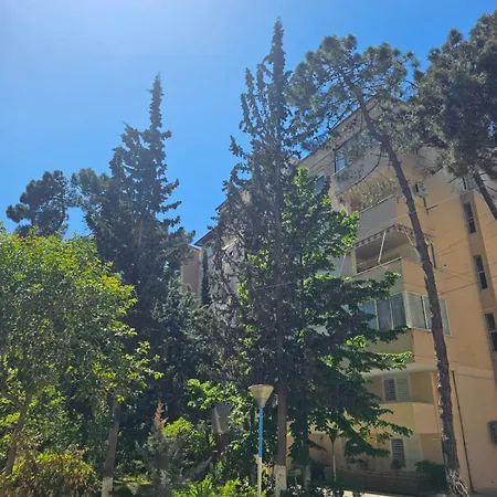 Celiku * Golem (Tirana)