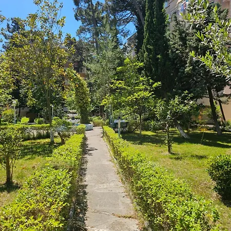 Celiku * Golem (Tirana)
